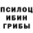Псилоцибиновые грибы Cubensis anya naz
