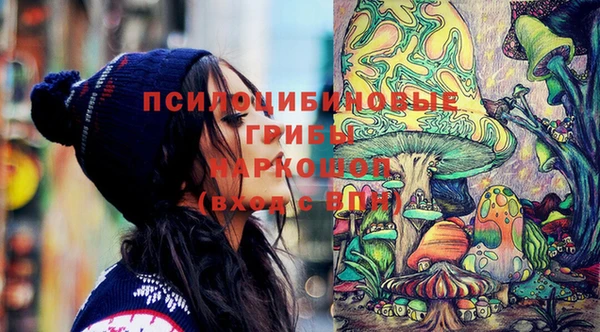 винт Мегион