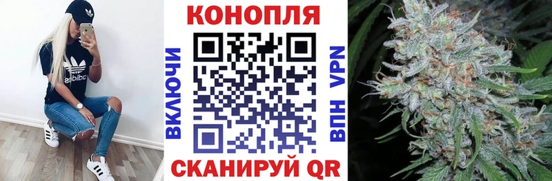 сколько стоит Белоусово Конопля OG Kush